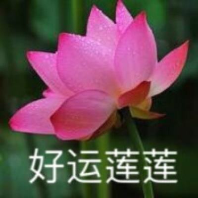 圣域天使最新版下载